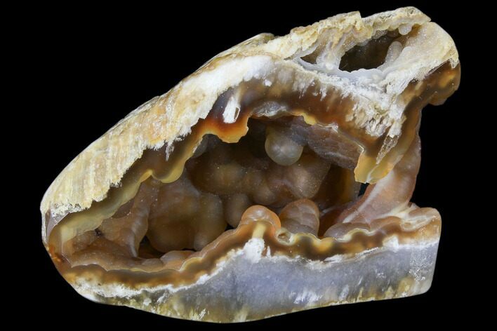 Agatized Fossil Coral Geode - Florida #82986